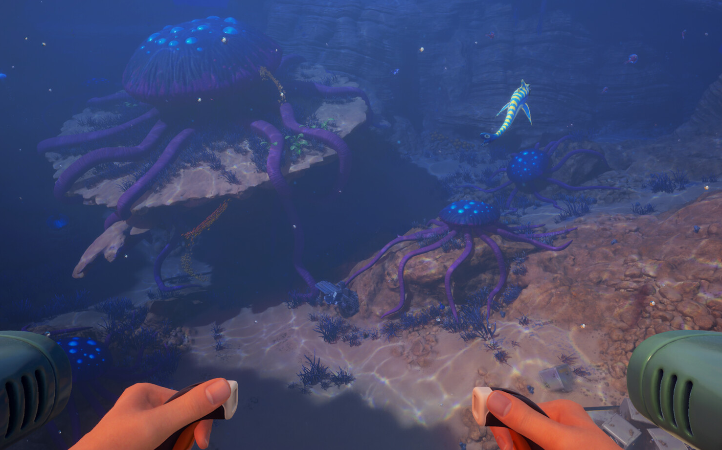 Screenshot 2026-05-31 222424